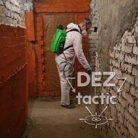 Как выбрать службу уничтожения тараканов для бизнеса: полный гайд